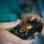 The Growing Threat of Cyberattacks and How Businesses Can Prepare