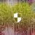 Technology Makes Subscription Businesses Scalable and Simple