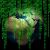 Why Businesses Are Turning to Digital Dashboards for Insights
